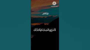 أكتب شيء تؤجر عليه ❤️‍🩹🤲🔥|سورة القصص|surah al quran listening 🎧 with RNHdeen97