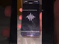 Remix Of The Wizard Liz Song 