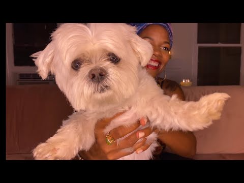 ASMR - God Come Rescue this Puppy from Me 🐶 {Petting, Whispers, YT Shout Outs, Mouth Sounds}