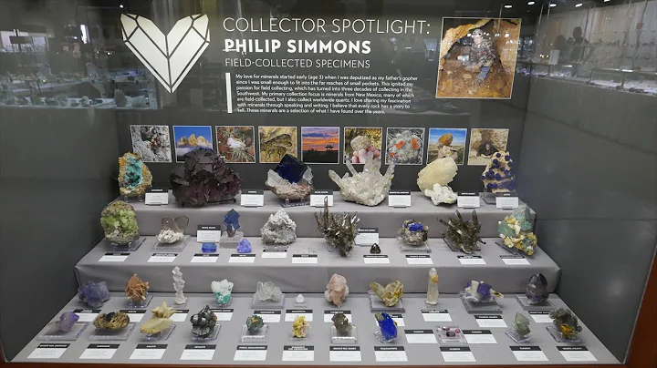 Philip Simmons - TGMS Show - What's Hot In Tucson:...