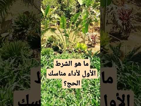 ما هو الشرط الأول لأداء مناسك الحج كن ذا أثر إجابة سؤال الحج