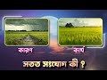 সতত সংযোগতত্ত্ব (পর্ব - ১) | রায় ও মার্টিন | Ray and Martin EVE