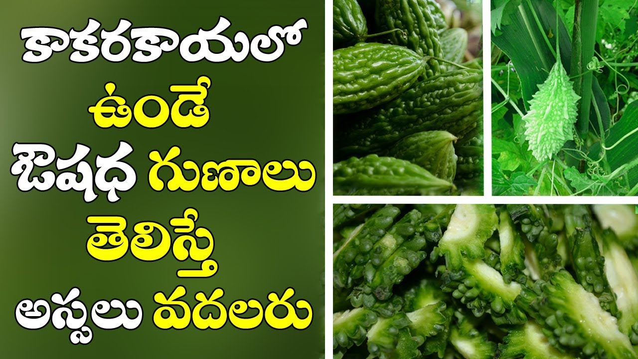 Kakarakaya Health Benefits In Teluguకాకరకాయ వలన కలిగే ఉపయోగాలు