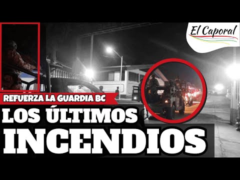 Vídeo: As alergias de um garoto de quatro anos o deixaram em casa. Em vez de ficar com o coração partido, ele está treinando seu filhote de cachorro São Bernardo.