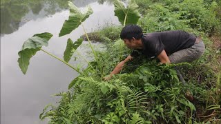 Nhật Ký Cầu Khe Trang (16) Ngày mưa vào bản kiếm mồi tìm được toàn đặc sản núi rừng