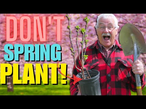 SPRING is NOT the BEST TIME to PLANT Trees and Shrubs!