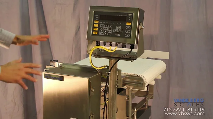 Washdown Rated WeighMore® In Motion Conveyor Scales