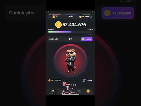 Hamster Kombat Crack the code. Hamster şifreleme çözümü