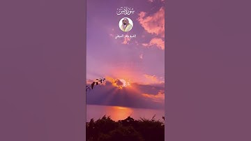 الشيخ ماهر المعيقلي  #اكسبلور #قرآن #explore #قران_راحة_نفسية #قران_كريم  #سورة_يس