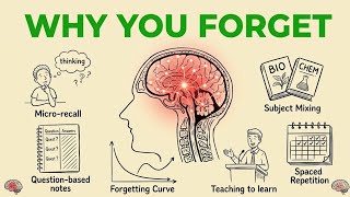 You've Been Studying Wrong Your Whole Life. 