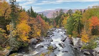 New England Fall Foliage Wilson’s Mills Maine 2022