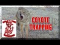 Open Country Coyote Trapping 2018