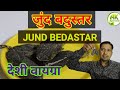 ज द बद स तर Castureum JUND BEDASTAR क फ यद Ak Ayurveda 
