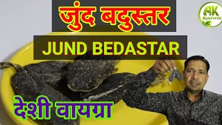 Benefits Of Jund Badustar Castureum, Ak Ayurveda