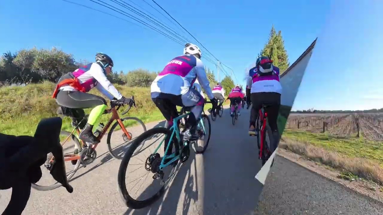 Merci Cycles Ventoux 1910
