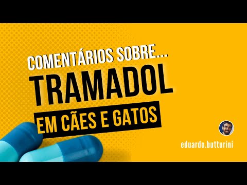 Vídeo: Supercrescimento ósseo Em Cães