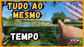 SERVIÇO NO SITIO CHEGOU TUDO AO MESMO TEMPO | VIDA NA AMERICA | SITIO NOS EUA