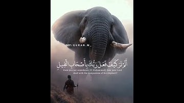 حالات واتس قرآن حالات واتس دينية / اجمل حالات واتس اب دينية / تلاوة خاشعة واتس اب سورة الفيل