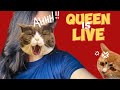 🔴Conqueror ke liye ek akhiri koshish 😮‍💨road to 2k subscriber 🫶❤️🦋