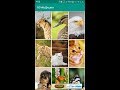 Android HD Wallpaper App