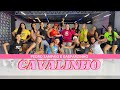 Cavalinho 🐎 Pedro Sampaio e Gasparzinho - Coreografia Styllu Dance