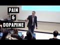 How do You Get a Hit of Dopamine or Feel Pain | Jordan Peterson