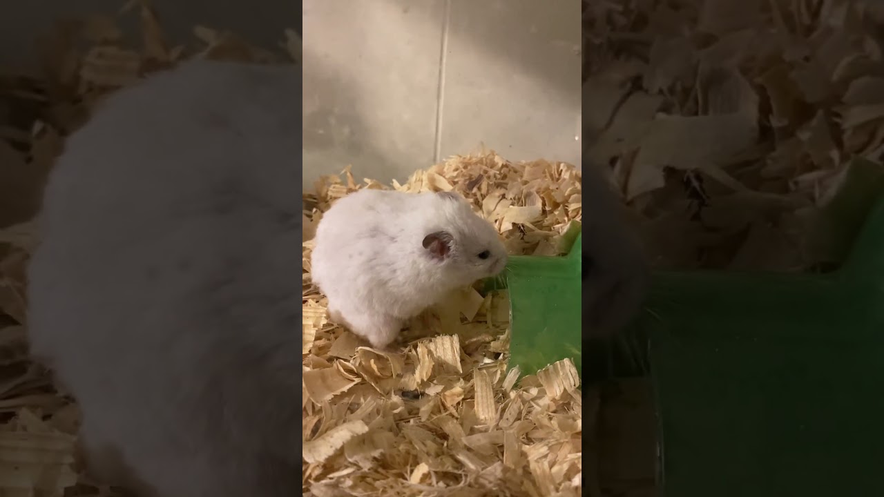 In or out of the house. 