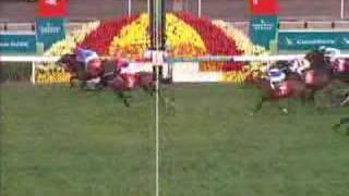 2007 Hong Kong Cup 香港盃