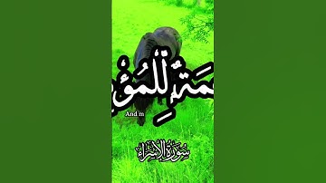 سورة البقرة #اكسبلور #الرحمن #music #راحة_نفسية #المصحف #دويتو #المراه #قران_كريم #duet #اعتني