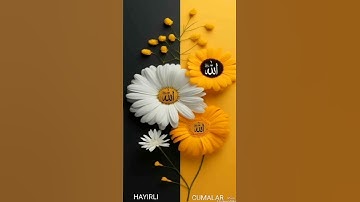 سورة تنتهى اياتها بحرف السين؟؟💛✨