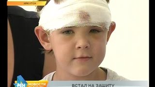 7-летний герой. Юный иркутянин спас от напавшей собаки маленькую девочку, но сам получил травмы
