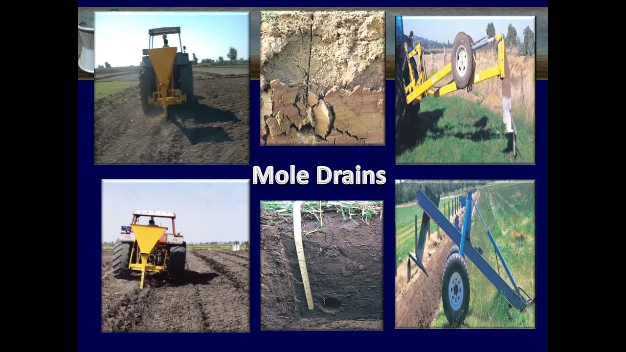 Salt Affected soils new abdalla