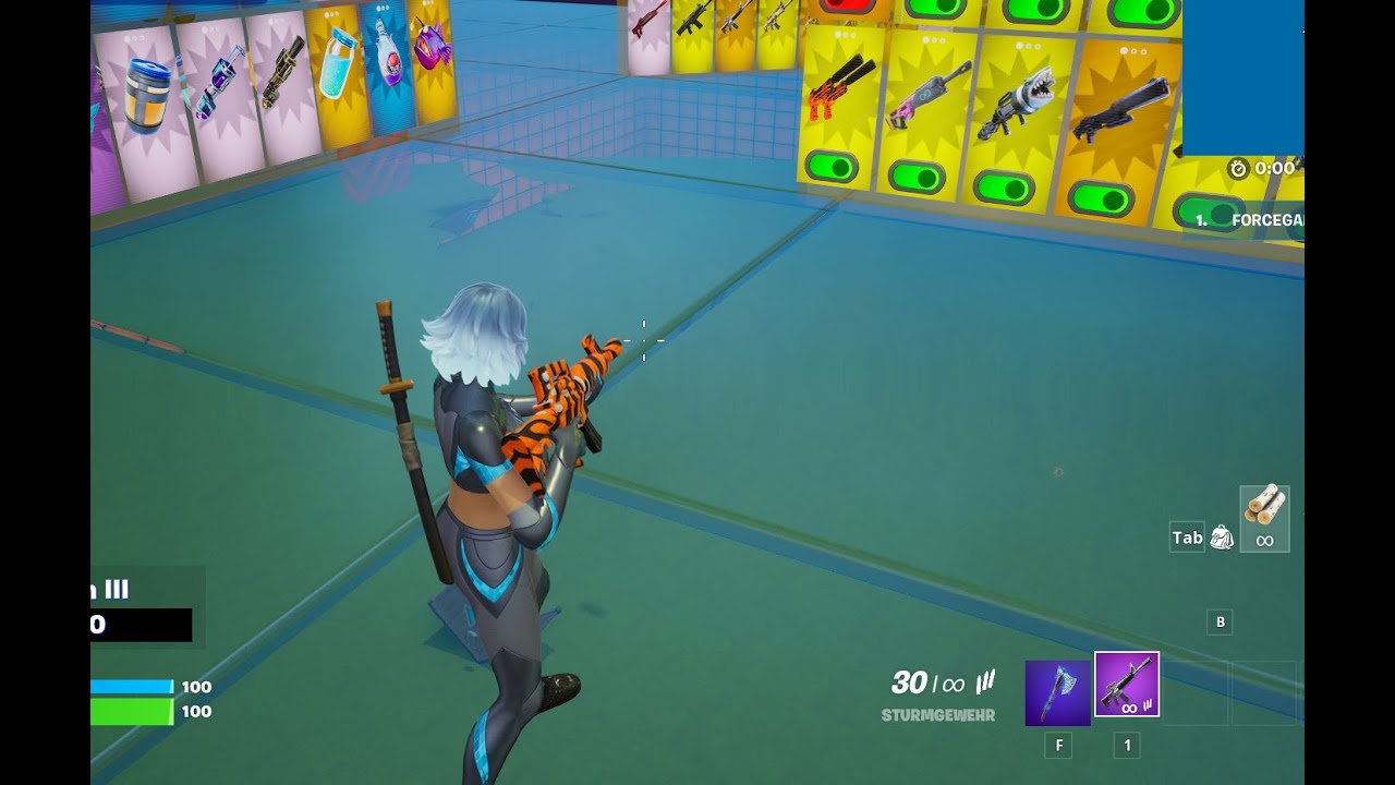 so schaltet ihr auf Standart skills map das Tiger Sturmgewehr frei