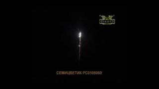 РС0108060 Семицветик