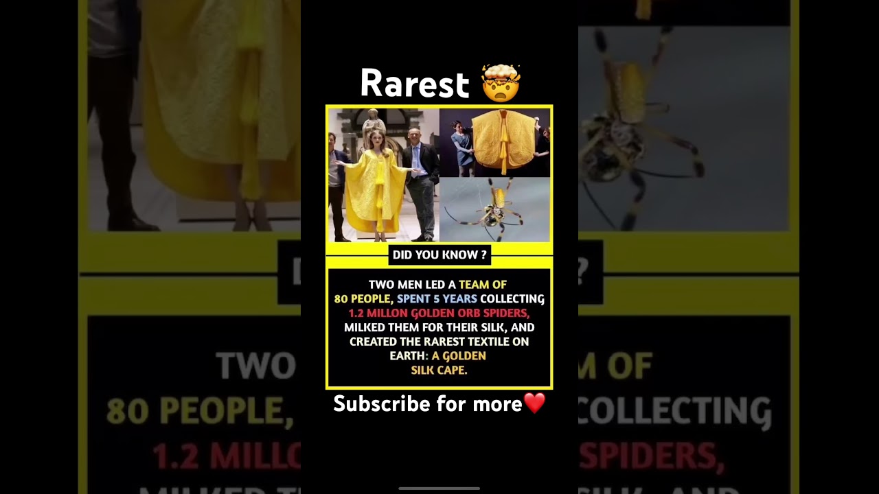 Golden Silk Cape (Rarest)🤯