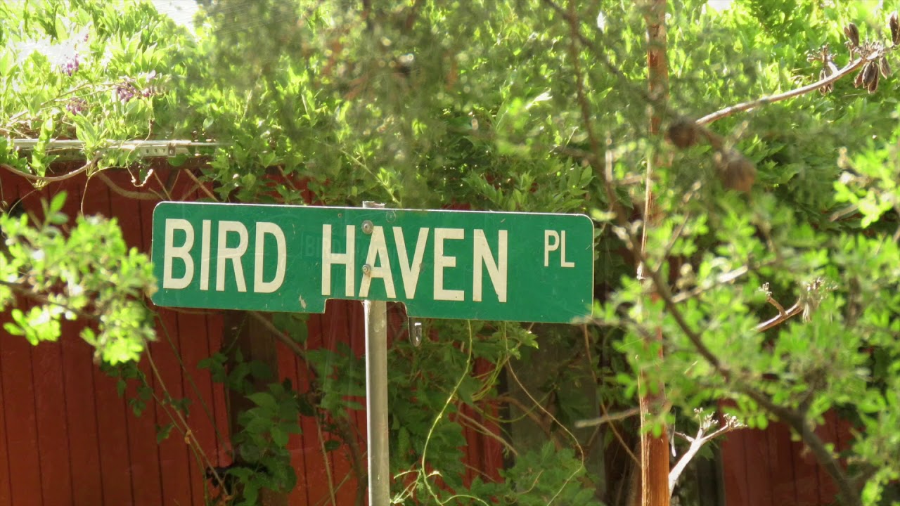 PORTAL, Arizona YouTube