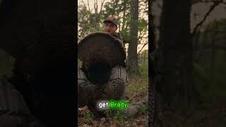 Pitched Down, Gobbled 50 Times