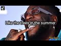 Bank on it by Burna boy (Lyrics Video)