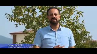 karanfil kokar fesiii nazilinin effesiğğ