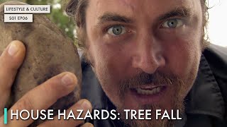 House Hazards: Tree Fall