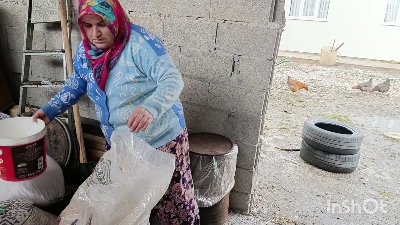 YEMLERİ VARİLLERE BOŞALTTIM HAYVAN BAKMAYA NASIL BAŞLADIM #keşfet #köy #köyhayatı #koyvlog 