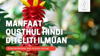 Manfaat Qusthul Hindi diteliti oleh Ilmuan Universitas Hindu Barana India oleh Avicena Herbal Life