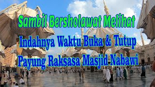 Sholawat Birosulillah || Indahnya Waktu Terbuka & Tertutupnya Payung Raksasa Masjid Nabawi.