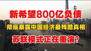 新希望800亿负债，彻底暴露中国经济最残酷真相！苏联模式正在重演？