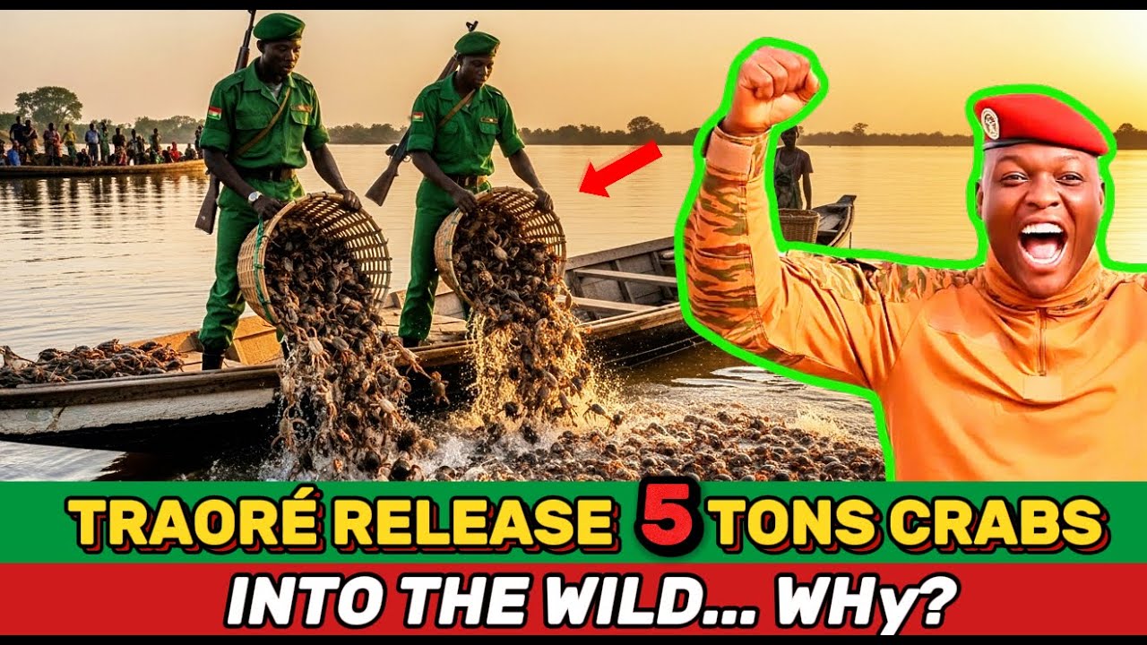Ибрагим Траоре выпустил 5 тонн крабов в реки Буркина-Фасо. Зачем он это сделал?