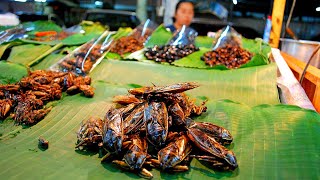 Eating INSECTS In Thailand. An Edible BUG MARKET In Southeast Asia