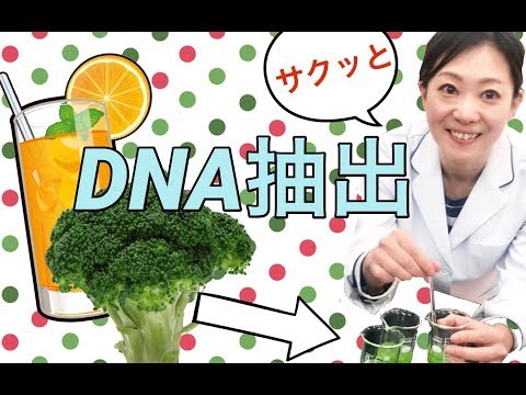 高校生 1日でできる簡単な自由研究 工作アイデア 4ページ