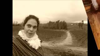 VILLA PRAT # PELARCO # CHILE