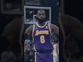 Daniel vs LeBron James #trickshots #basketball
