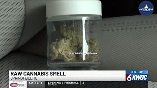 Illinois bill would prevent car searches based on raw cannabis smell